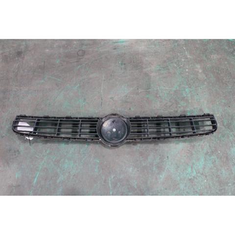 Grelha do radiador Fiat Bravo 2 198