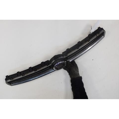 Grelha do radiador Fiat Bravo 2 198