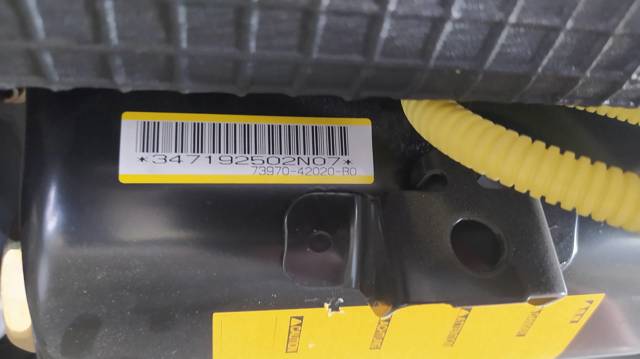 7397042020 Подушка безопасности (AIRBAG) пассажирская купить Львов