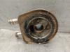 Radiador de óleo 7700114039 RENAULT