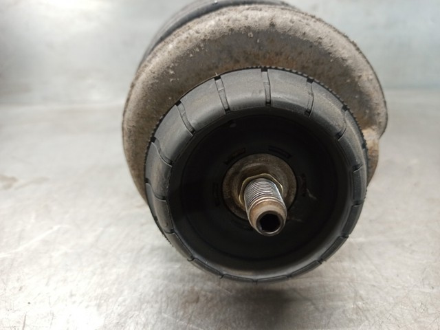 7700838083 RENAULT Амортизатор передний купить в Запорожье