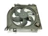 Ventilador elétrico de esfriamento montado (motor + roda de aletas) 7701063956 RENAULT