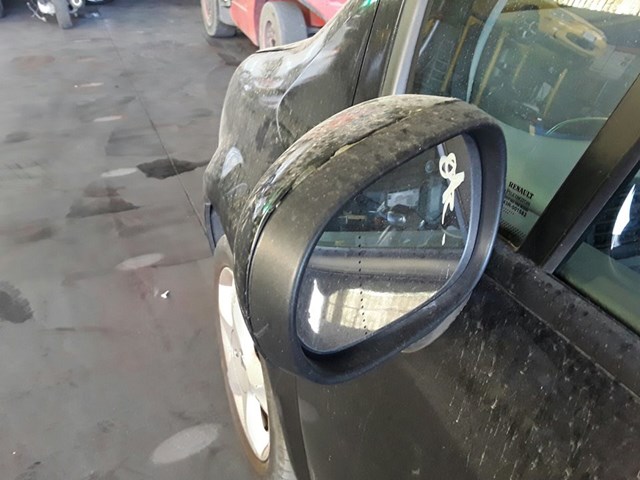 Espelho de retrovisão esquerdo 7701065900 Renault (RVI)