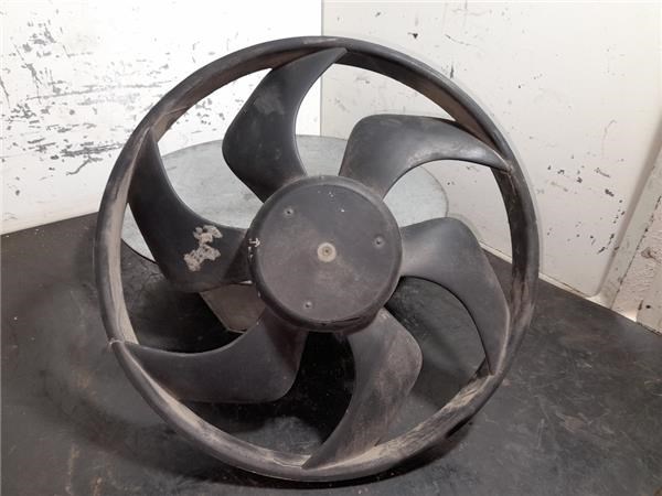 Ventilador elétrico de esfriamento montado (motor + roda de aletas) 7701066103 Renault (RVI)