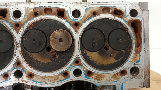 RENAULT 7711368753 ГБЦ в наличии Львов