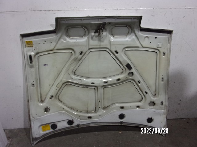 RENAULT 7751465529 Капот в наличии Винница