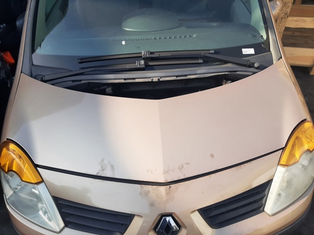 RENAULT 7751475521 Капот в наличии Павлоград