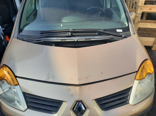 RENAULT 7751475521 Капот в наличии Черкассы