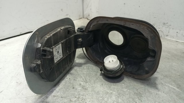 781204304R купить Каменское