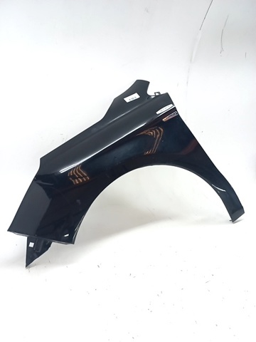 Pára-lama dianteiro esquerdo Citroen C4 2 B7