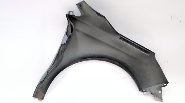 Pára-lama dianteiro esquerdo Citroen C4 2 B7