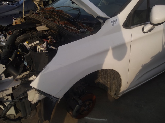 Pára-lama dianteiro esquerdo Citroen C4 2 B7