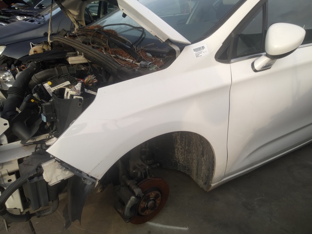 Pára-lama dianteiro esquerdo Citroen C4 2 B7