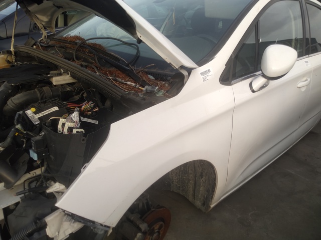 Pára-lama dianteiro esquerdo Citroen C4 2 B7