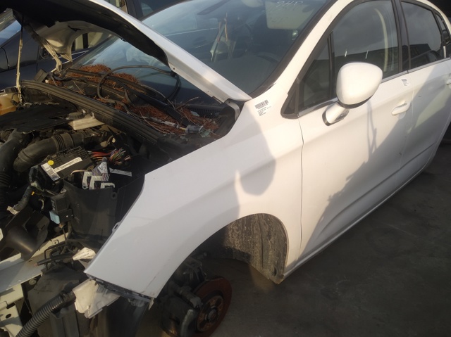 Pára-lama dianteiro esquerdo Citroen C4 2 B7