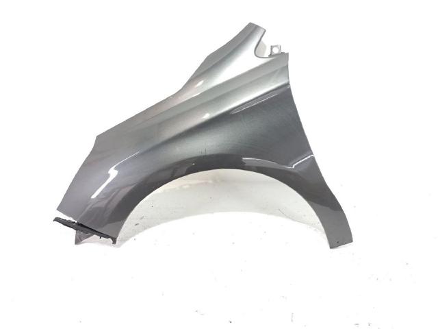 Pára-lama dianteiro esquerdo Citroen C4 2 B7