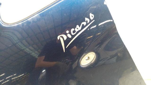 Pára-lama dianteiro esquerdo Citroen Xsara N68