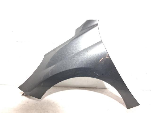 Pára-lama dianteiro esquerdo Peugeot 207 WA, WC