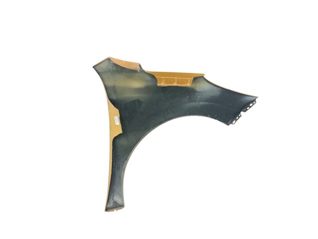 Pára-lama dianteiro esquerdo Peugeot 207 WA, WC