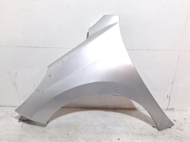 Pára-lama dianteiro esquerdo Peugeot 207 WA, WC