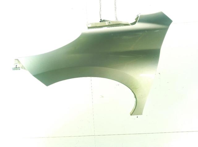 Pára-lama dianteiro esquerdo Peugeot 207 WA, WC