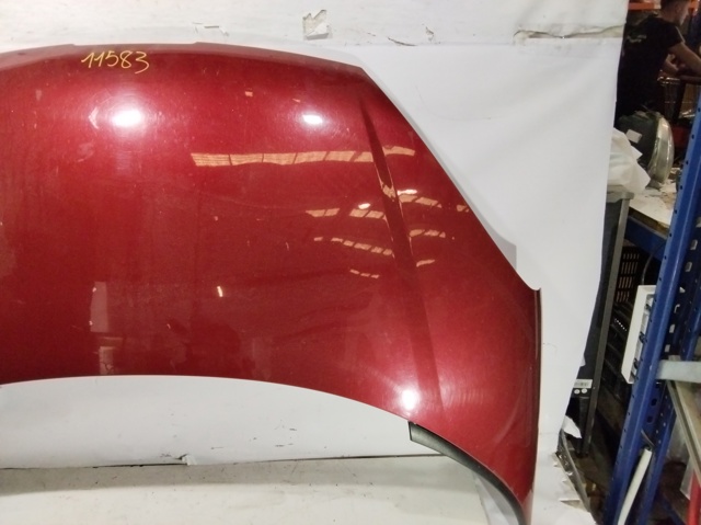 PEUGEOT 7901N4 Капот в наличии Житомир