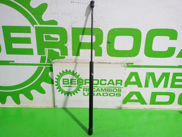 Amortecedor da capota 792513 PEUGEOT