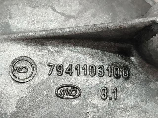 7941103100 купить Николаев