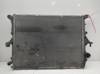 Radiador de esfriamento de motor 7L6121253E VAG