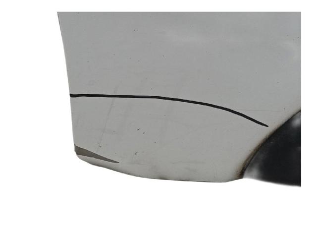 801010179R RENAULT Дверь передняя левая купить в Запорожье