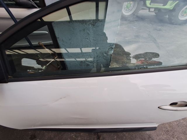 801010671R RENAULT Дверь передняя левая купить в Украина
