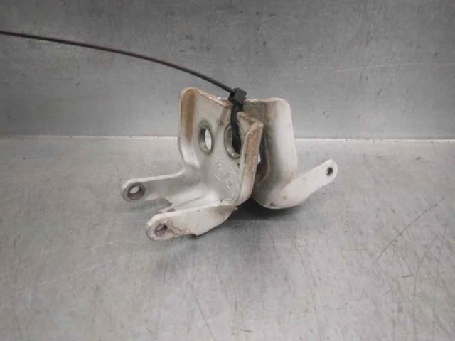 Gozno da porta dianteira 804209726R Renault (RVI)