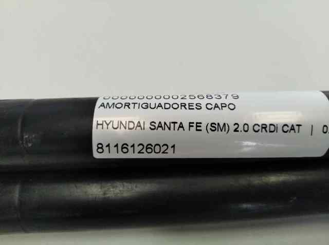 8116126021 HYUNDAI Амортизатор капота купить в Одесса