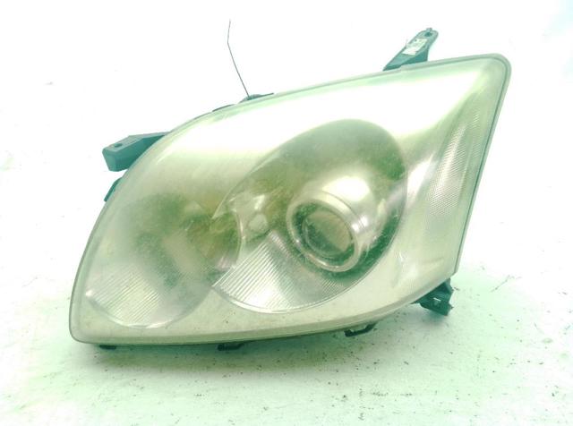 Luz esquerda 8117005194 TOYOTA