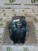 Tanque de fluido para lavador de vidro 81264810066 MAN