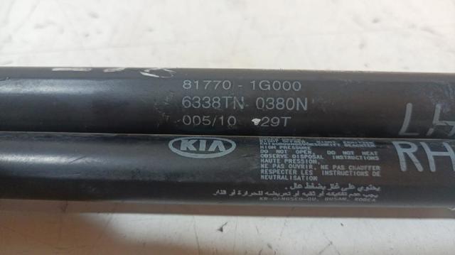 817701G000 HYUNDAI Амортизатор багажника купить в Винница