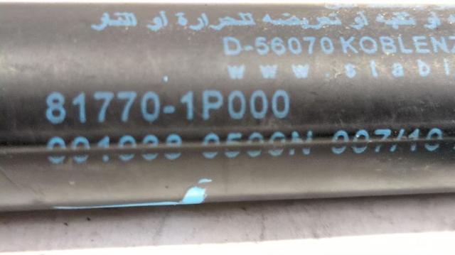 817701P000 HYUNDAI Амортизатор багажника купить в Сумы