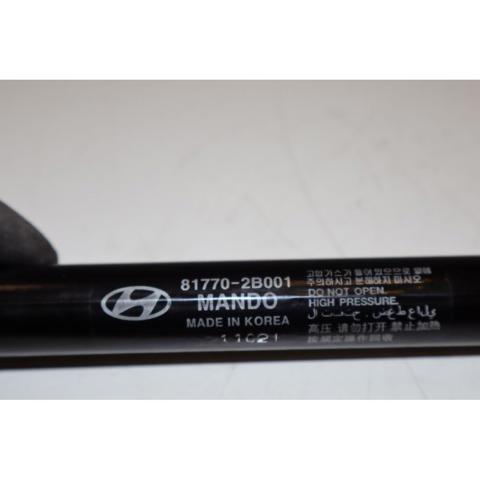 HYUNDAI 817702B001 Амортизатор крышки багажника (двери 3/5-й задней) в наличии Павлоград