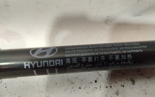 81770D7001 HYUNDAI Амортизатор багажника купить в Хмельницкий