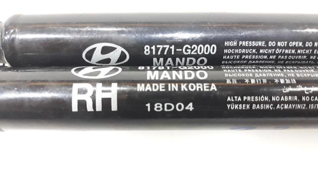 81781G2000 HYUNDAI Амортизатор багажника купить в Житомир