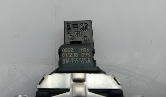 81A955555A VAG