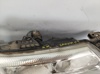 Luz direita 8200002847 RENAULT