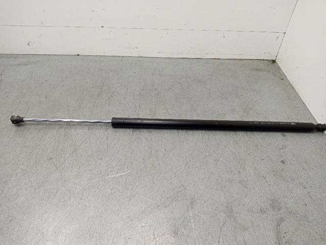 Amortecedor de tampa de porta-malas (de 3ª/5ª porta traseira) 8200021974 RENAULT