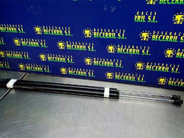 Amortecedor de tampa de porta-malas (de 3ª/5ª porta traseira) 8200021974 RENAULT