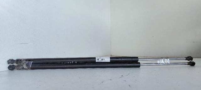 Amortecedor de tampa de porta-malas (de 3ª/5ª porta traseira) 8200021974 RENAULT