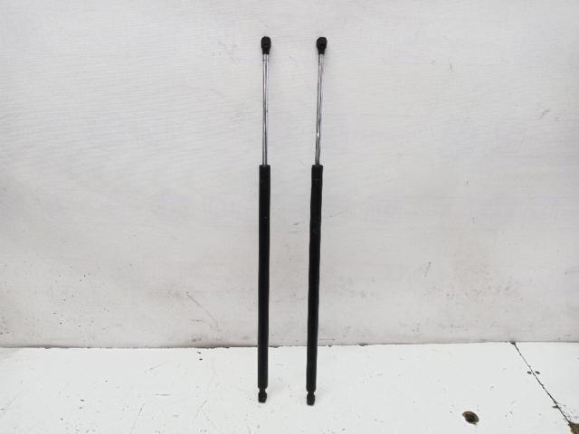 Amortecedor de tampa de porta-malas (de 3ª/5ª porta traseira) 8200021974 RENAULT