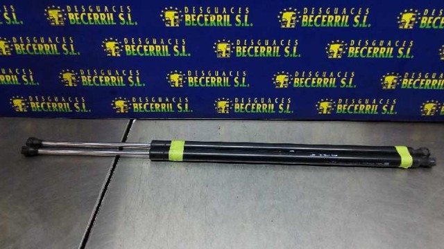 Amortecedor de tampa de porta-malas (de 3ª/5ª porta traseira) 8200021974 RENAULT