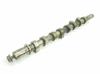 Árvore distribuidora de motor 8200089894 RENAULT