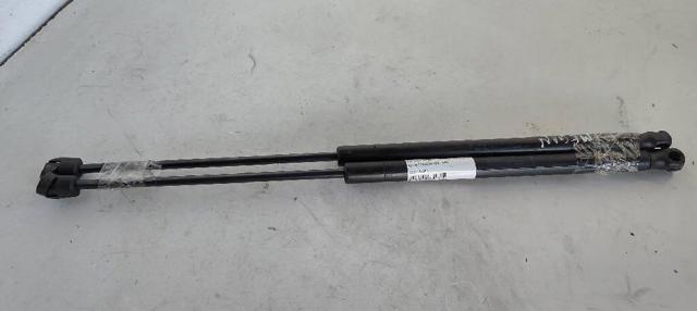 RENAULT 8200135264 Амортизатор стекла багажника (двери 3/5-й задней (ляды) в наличии Ирпень