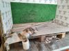Trapézio de limpador pára-brisas 8200141270 RENAULT
